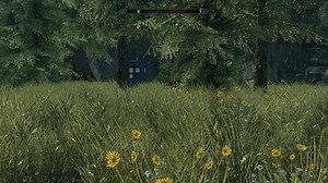 SkyFi R1 file - Elder Scrolls V: Skyrim