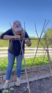 13K views · 322 reactions | Bill and I made a trellis for our veggie...