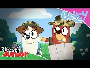 Urmăriți instrucțiunile! | Blue | Disney Junior România