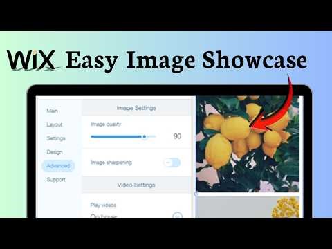 How to add photo gallery in Wix (Media Display)