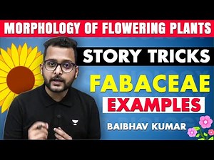 Story Tricks | Fabaceae Family | Examples | Morphology of Flowering Plants | Baibhav Sir
