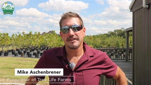 ForUsTree - SCA Tree Farm Tour Mike Aschenbrener