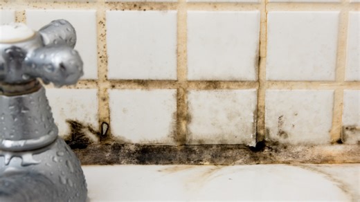 Walmart's $3.44 'great value' product removes mold and dirt in one swipe