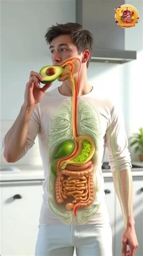 What Happened inside Your Body When You Eat Avocado 🥑 | 3D Body Animation" #avocado