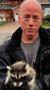 973 reactions · 24 shares | The Wildlife World Needs Love and Compassion Raccoons in your attic? Squirrels in your walls? We provide humane wildlife control solutions. It's essential to hire a reputable and humane wildlife control company when removing unwanted wild guests from your home. Call us today and restore your peace of mind! | Gates Wildlife Control | Facebook