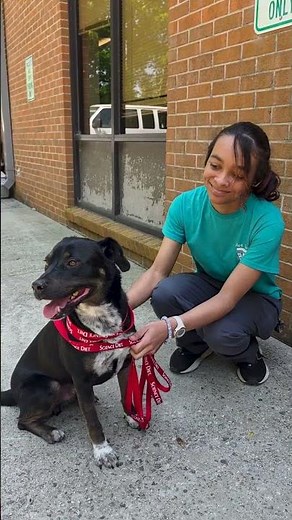 TCTC Pet Adoption Event Spring 2026