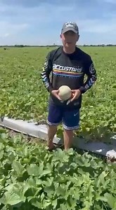 6.6K views · 14 reactions | Rural Rising Philippines on Reels | Facebook