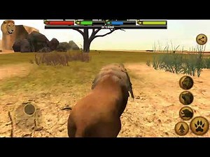 Ultimate Lion Simulator gameplay
