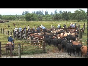 Florida Crackers: The Cattlemen And Cowboys of Florida