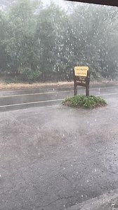 42K views · 688 reactions | Storm total. .25 inches. | Laguna Mountain Lodge | Facebook