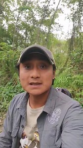 El felino mas pequeño de México | Eduardo Chankin