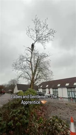 Climbing High Tree Care Ltd on Instagram: "Hard work doesn't stay hidden 💪🏼🌳 Goerge has the most outstanding work ethic. He's growing into an epic arborist! 💻 www.climbinghightreecare.co.uk . . . . #aborist #apprenticelife #apprenticegoals #teamworkmakesthedreamwork #smallbusinessoxfordshire #familyrunbusiness"