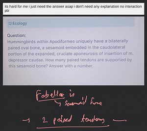 EcologyQuestion:Hummingbirds within Apodiformes uniquely have... | Filo