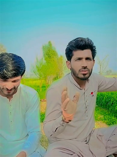 Funny Pet Moment Compilation