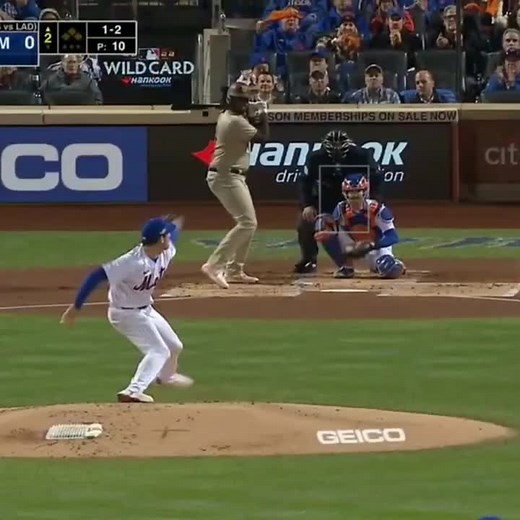 Exciting Baseball Game Highlights and Team Celebrations