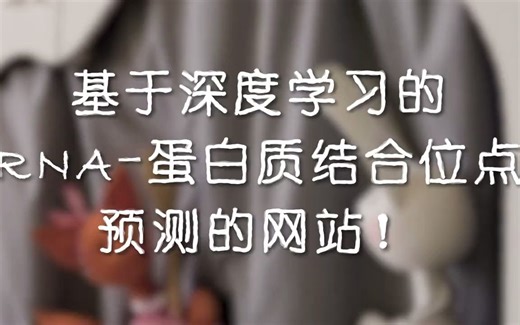 基于深度学习的RNA-蛋白质结合位点预测的网站--RBPsuite