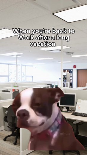 When you’re back to Work after a long vacation #workmemes #workhumor #jobjokes #officehumor #memes