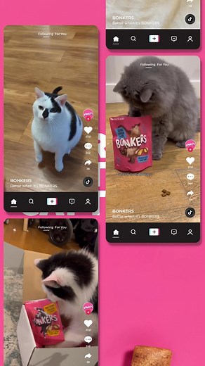 The internet’s loudest, weirdest, award-winning cat treat. Cats are losing it. Parents are converting. The BONKERS era has begun. 🤪 Try the viral treat your furry gremlins would absolutely sell you out for “WHAT do you put in these?! My cats would trade me in for BONKERS.” ⭐️⭐️⭐️⭐️⭐️ 🚀 19,000 5-star reviews (and at least one shrine) 🐾 Wheat & soy free 🧠 Formulated by legit animal nutritionists 🚫 No artificial flavors or colors 💕 Low cal. High chaos. Maximum yum. Better when it’s BONKERS. S