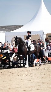 FOR DIOR (v. Fürst Dior x Johnson x Totilas) begeistert auf ganzer Linie. Mit zwei phänomenalen ersten Fohlenjahrgängen hat er eindrucksvoll bewiesen, dass er seine außergewöhnliche Qualität vererbt. Besonders seine beeindruckende Schulterfreiheit und seine elastische, durch den Körper schwingende Bewegung setzen Maßstäbe und prägen auch seine Nachkommen sichtbar. Im vergangenen Jahr konnte For Dior bereits eine Reitpferdeprüfung für sich entscheiden und unterstreicht seither beständig sein enor