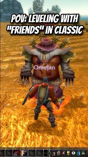 POV: Leveling with friends in classic World of Warcraft