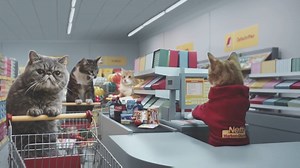 134K views · 786 reactions | Avez-vous déjà vu des chats en train faire de leurs courses dans un supermarché ? L’enseigne de hard-discount Netto a dévoilé cette amusante et excellente publicité mettant en scène plusieurs chats avec leurs caddies, tout en s’inspirant des mèmes d’Internet. ON ADORE ❤ | Le Royaume des Chats | Facebook