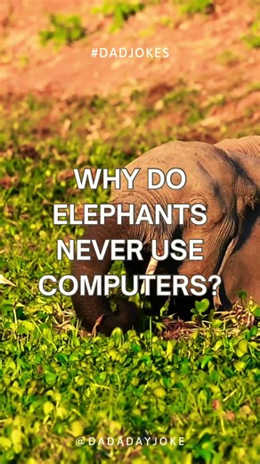 Elephant computer dad joke #funny #comedy #comedyjoke