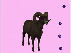 POLYCLONAL ANTIBODIES