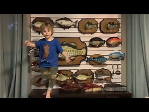 Youngest singing fish collector ever splashes into the new year with a collection￼ update
