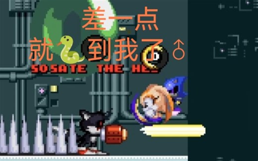 【索尼克exe2D大逃杀】（14）