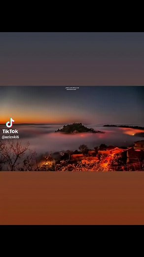 Amine la colombe sur TikTok