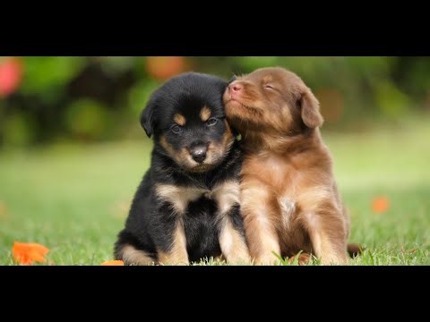 Northern Project & Sinéad McCarthy - Another Way Out (Anton Trian remix)