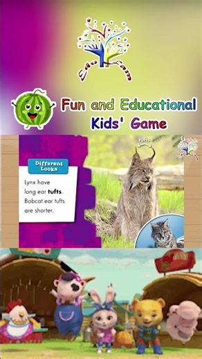 😺❄️ Bobcat vs. Lynx! | The Battle of the Big Cats! | Animal Safari 🐾🌲