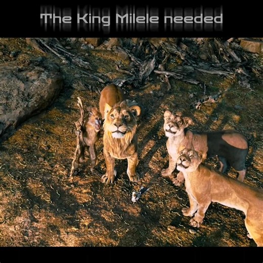 Mufasa Became King Without Royal Blood 👑🔥