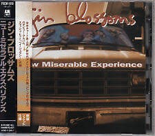 Gin Blossoms - New Miserable Experience