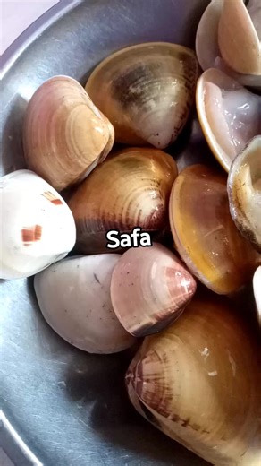 Dharthie Salsa on Instagram: "Removing the clam meat from the shell to be frozen #SeafoodLover #FreshSeafood #Shellfish #FoodPorn #CleanEating #SustainableSeafood"