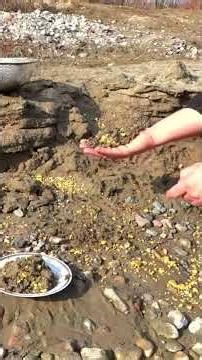 GOLD Rush Takes Over The YUKON Now! 😁