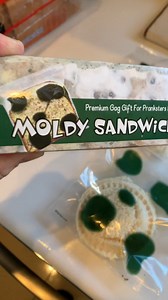 FAKE Moldy Sandwich Bags 🤢 Can They Really Stop Lunch Thieves? #gaggift #sandwichbags #lunchideas #gadgets #amazon #amazonfinds #kitchenfinds #kitchengadgets | Freakin' Reviews