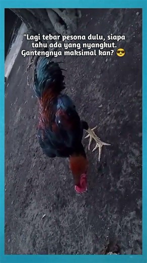 "Bangun lebih pagi, melangkah lebih pasti.