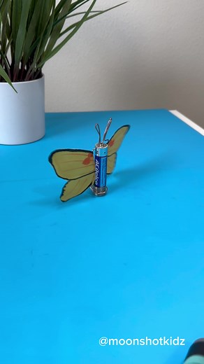 DIY Butterly Homopolar Motor Project for Beginners