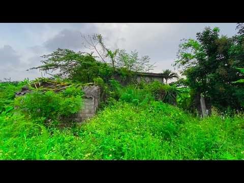 Nobody Believed This: A 50-Year-Old Abandoned House Undergoes Spectacular Transformation | clean up