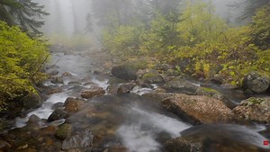 Some Helpful Tips for Long Exposures in Landscape Photography