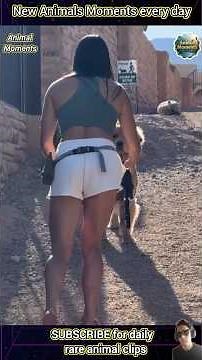 18 AMAZING Animal Clips You MUST See!