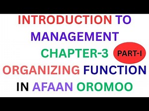 INTRODUCTION TO MANAGEMENT/CHAPTER-3/ORGANIZING FUNCTION IN AFAAN OROMOO