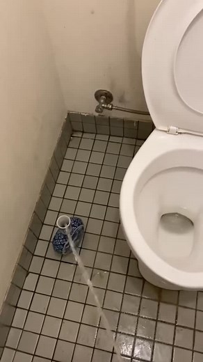 Piss Adventures on Instagram: "German sausages, or “Wurst,” are a staple of German cuisine, boasting a rich history and incredible diversity. Each region in Germany has its own unique sausage specialties, reflecting local tastes and traditions. From the well-known Bratwurst to the blood sausages like Blutwurst, the variety is vast and caters to every palate. The production of German sausages is an art, with many recipes passed down through generations. These recipes often include a blend of diff