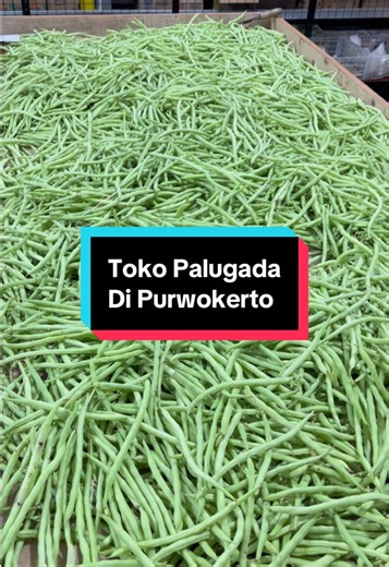Toko sayur & sembako buka 24 jam di Purwokerto ✨ @Dieng Fresh Mart Komplit dan fresh banget stoknya 🥹❤️ 📍Dieng Fresh Mart (seberang BRI unit pasar Wage) #sayur24jam #kulinerpurwokerto #anakkost #tokosayur #pwt24jam