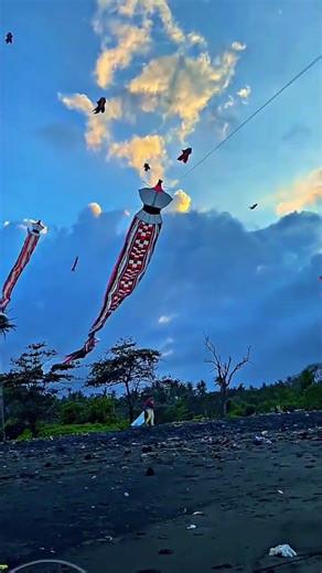 pegang yang kuat tali layangannya #layangan #benanglayangan #layanglayang #layangantanggalan