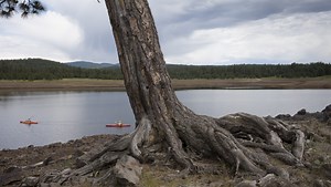 Weather extremes: Four decades later, a record untouchably low