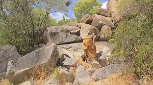 2.6K views · 135 reactions | Modimo a mpona  | Dicheruba Music Productions II | Facebook