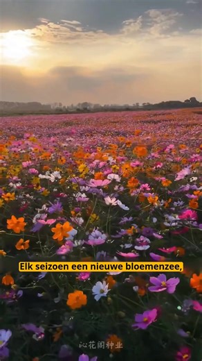 2K views · 17 reactions | [Four Seasons Garden Magic Pot]  —— Plant...