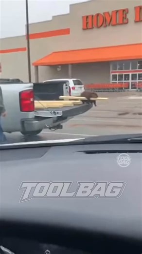 Tool Bag | Beaver taking his wood back. #Funny #animals #cuteanimals #theft #wildlife | Instagram